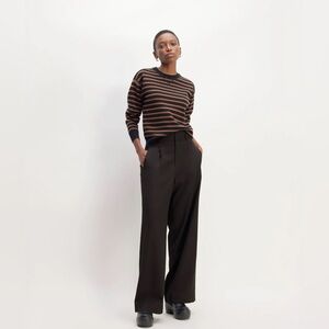 NWOT Everlane 100% Italian Wool Way High Drape Pant